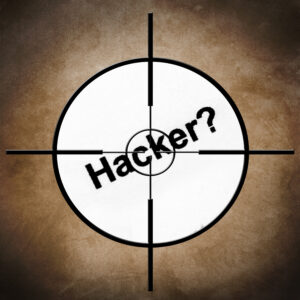 Hacker Target | Network 1 Consulting