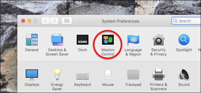 System preferences window with a red circle around Missing Control
