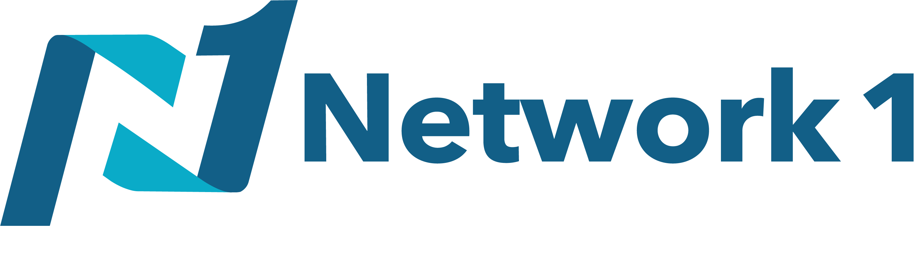 Network1 color with white taglineFINAL