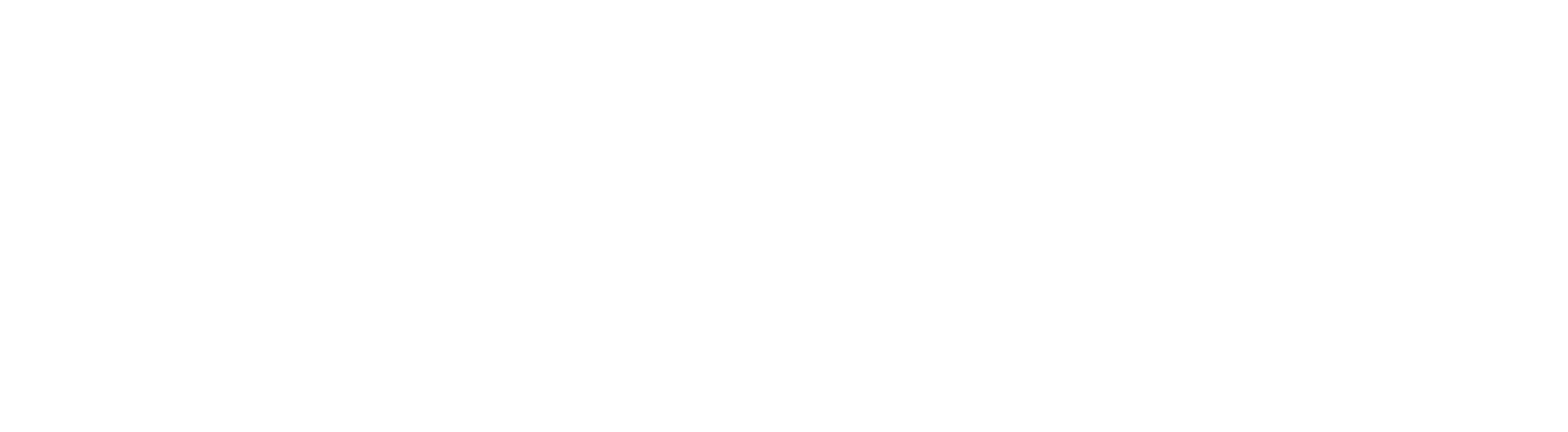 Network1 tagline white