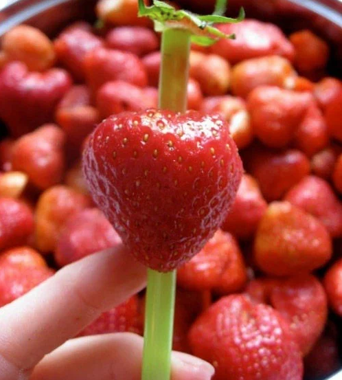 straw through strawberry