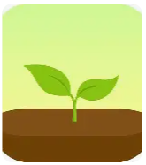 Forest app icon, a green shoot growing from brown dirt.