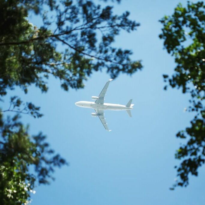 Bottom view on jet airplane flying in the sky overhead among green trees, carbon footprint