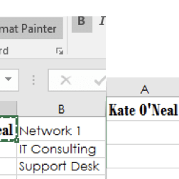 Excel Format Painter