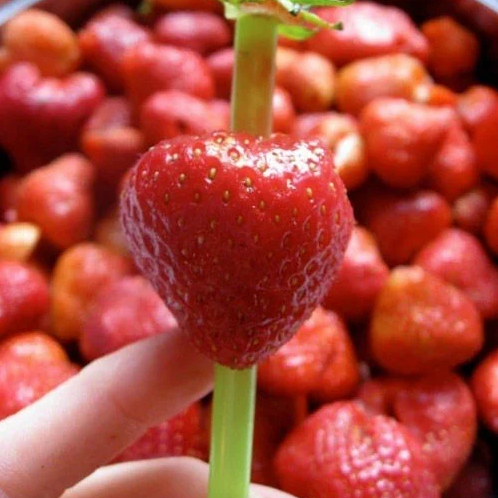 straw through strawberry