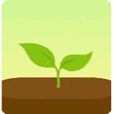 Forest app icon, a green shoot growing from brown dirt.