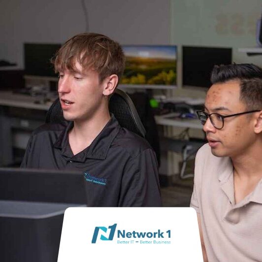 IT Strategy Example from Network 1 Consulting