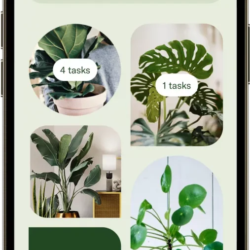 planta app-hero