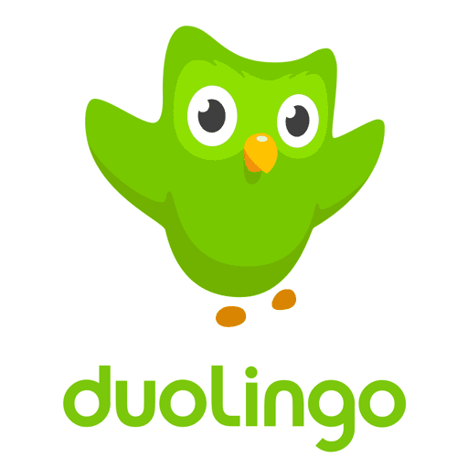 Duolingo Review | Network 1 Consulting